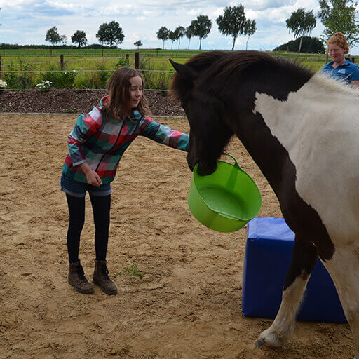 Ein Kind übt Zirkustricks mit dem Pferd zur Selbstmotivation