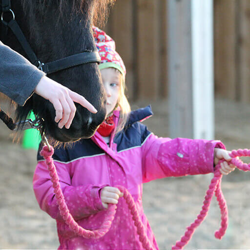 Ein Kind hält die Zügel des Pferdes und lernt die gemeinsame Sprache mit dem Pferd.